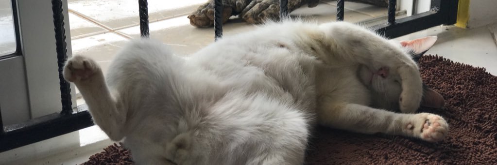 ladouffe's profile banner image