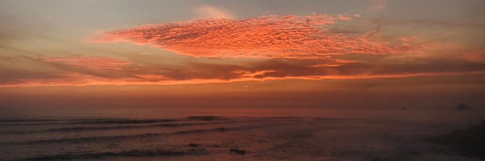 Lucía Flores. banner