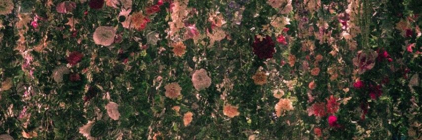 Hsj1114R's profile banner image