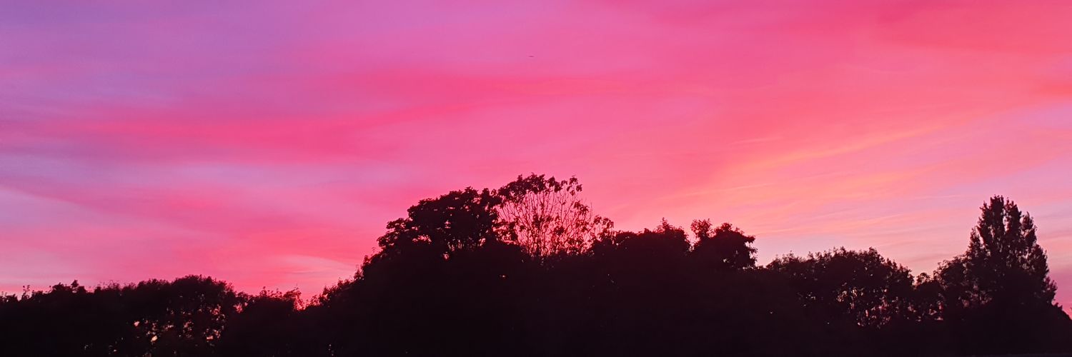 🇨🇵dixon91350🇨🇵 banner