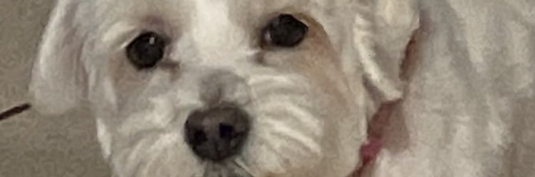 esoj1212's profile banner image