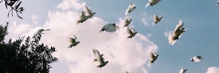 jasminadel97's profile banner image
