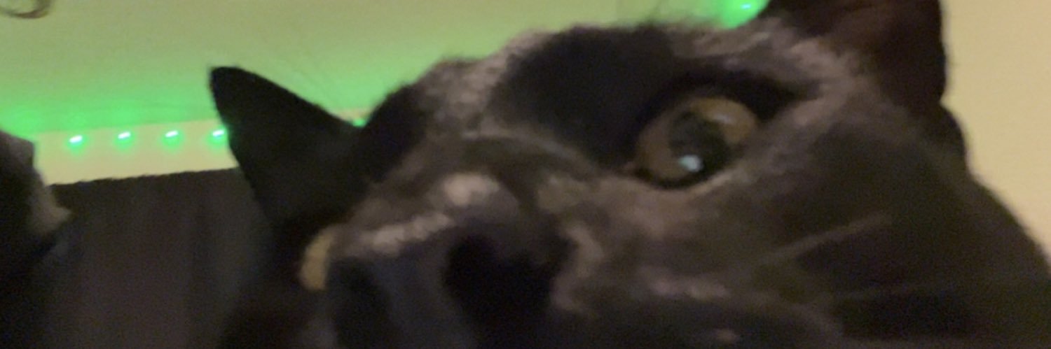 madstarr9's profile banner image