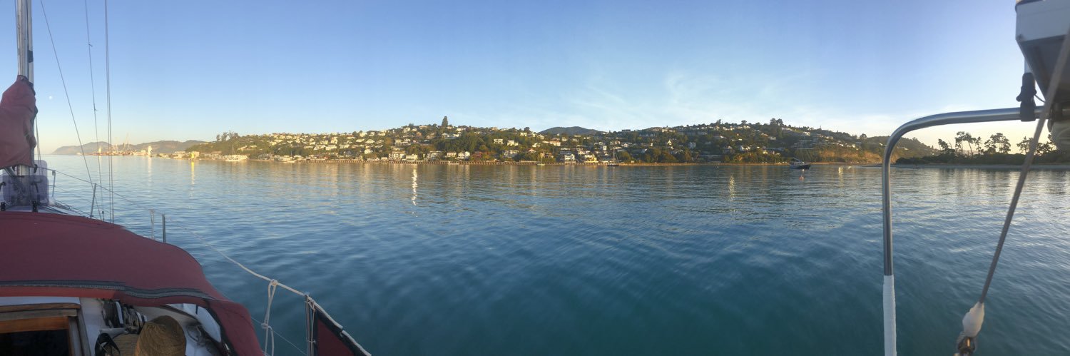 Not a real doctor (he/him) banner