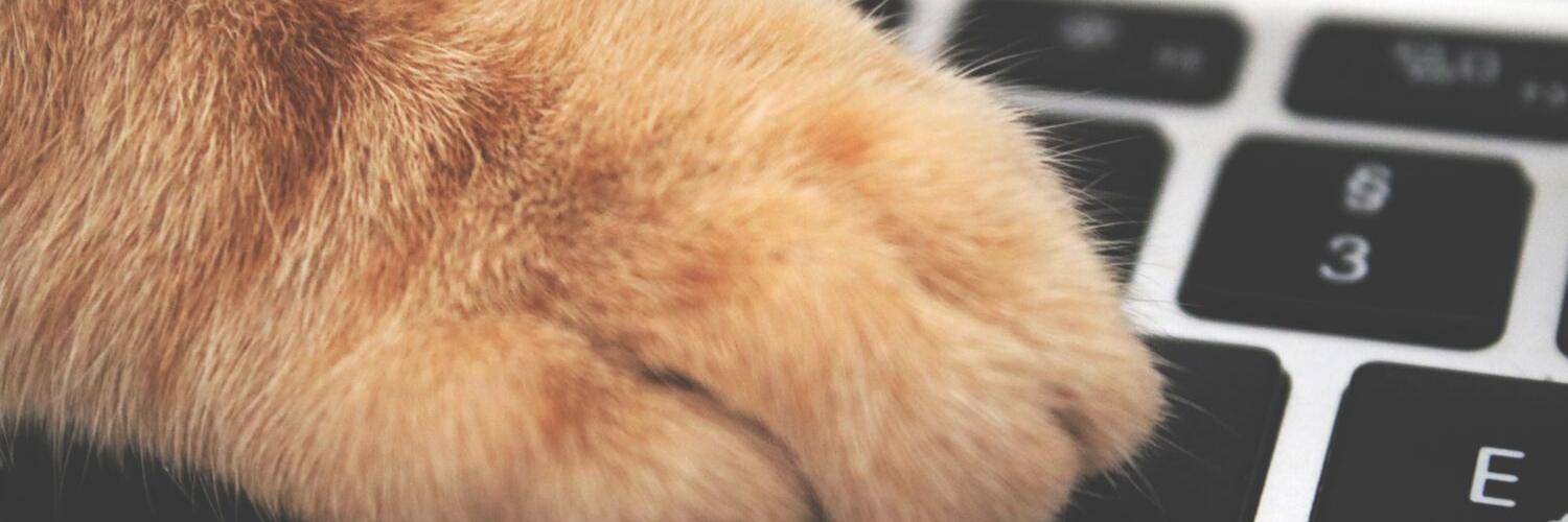 MarcyHarbut's profile banner image