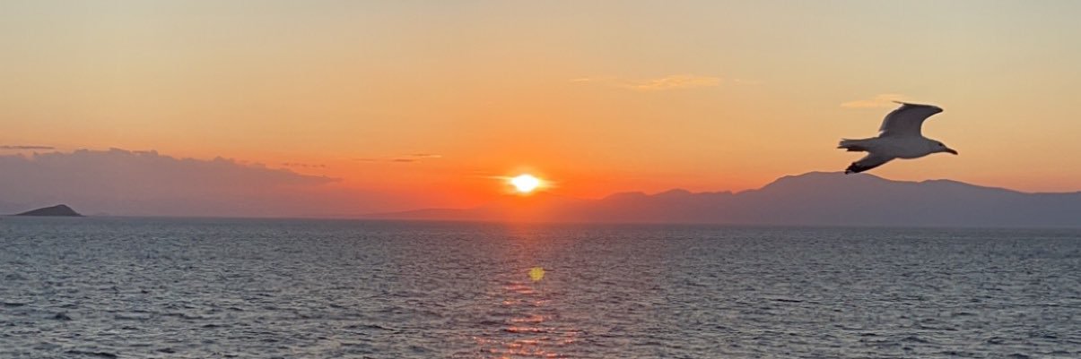 aure_olvr's profile banner image