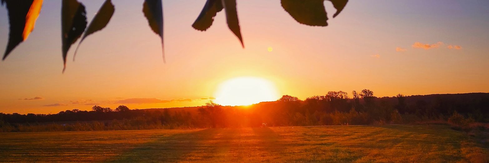 GOLDKAMPA's profile banner image