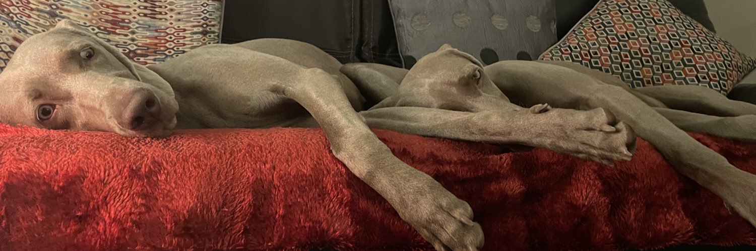 lesnutties's profile banner image