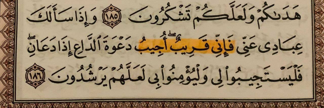 وليـد مبارك الرويعي banner