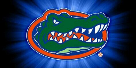 Gator_til_I_Die's profile banner image