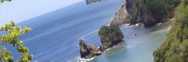 vanessanaranjom's profile banner image