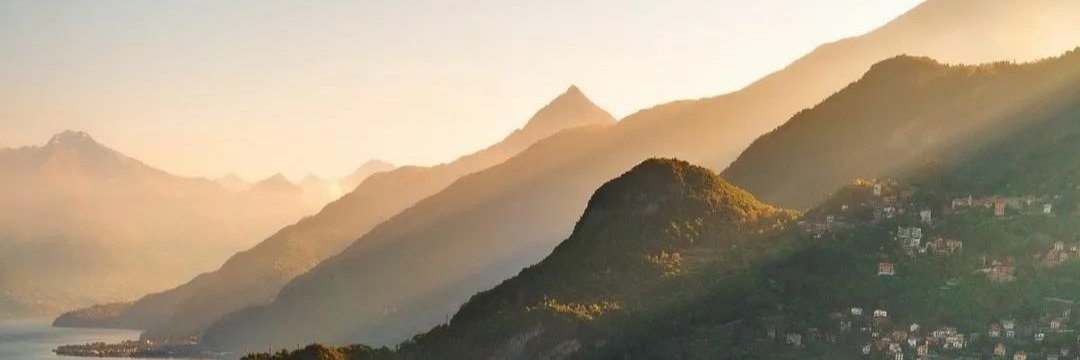 Elodie. banner