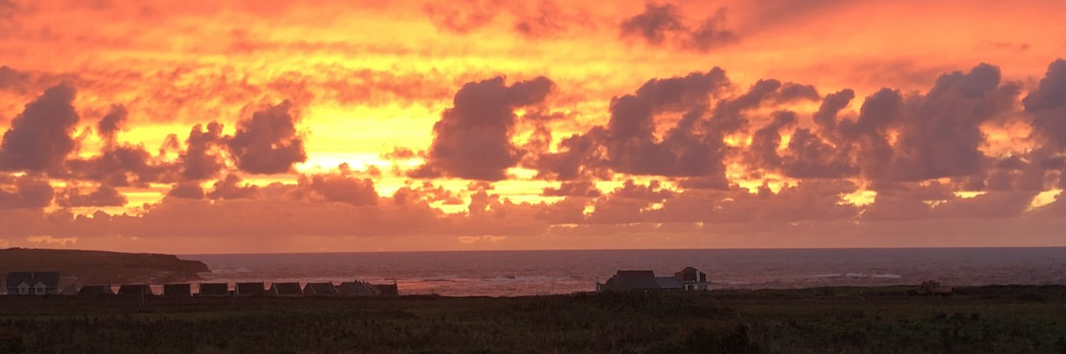 Kevin Stanford banner