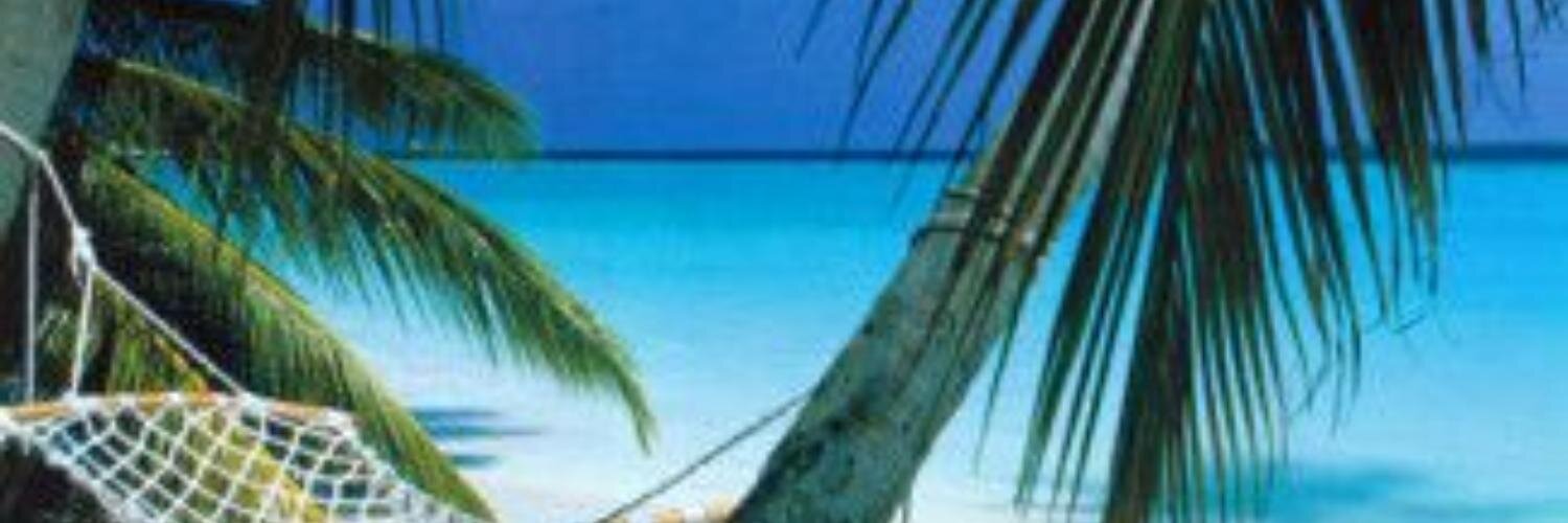LC2020's profile banner image
