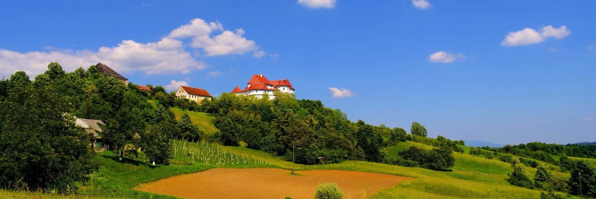 Domagoj Skledar banner