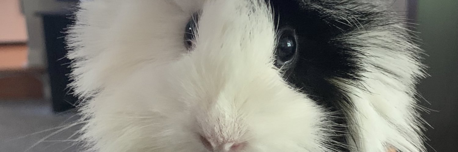 jeezjassy's profile banner image