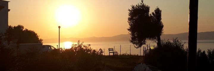 merioce's profile banner image