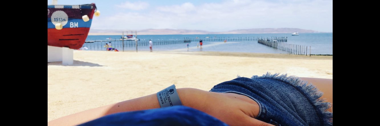 soylajani's profile banner image