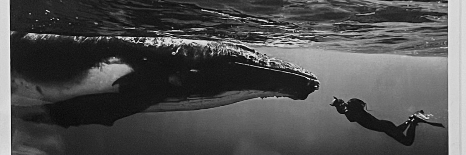 양석원 Ejang banner