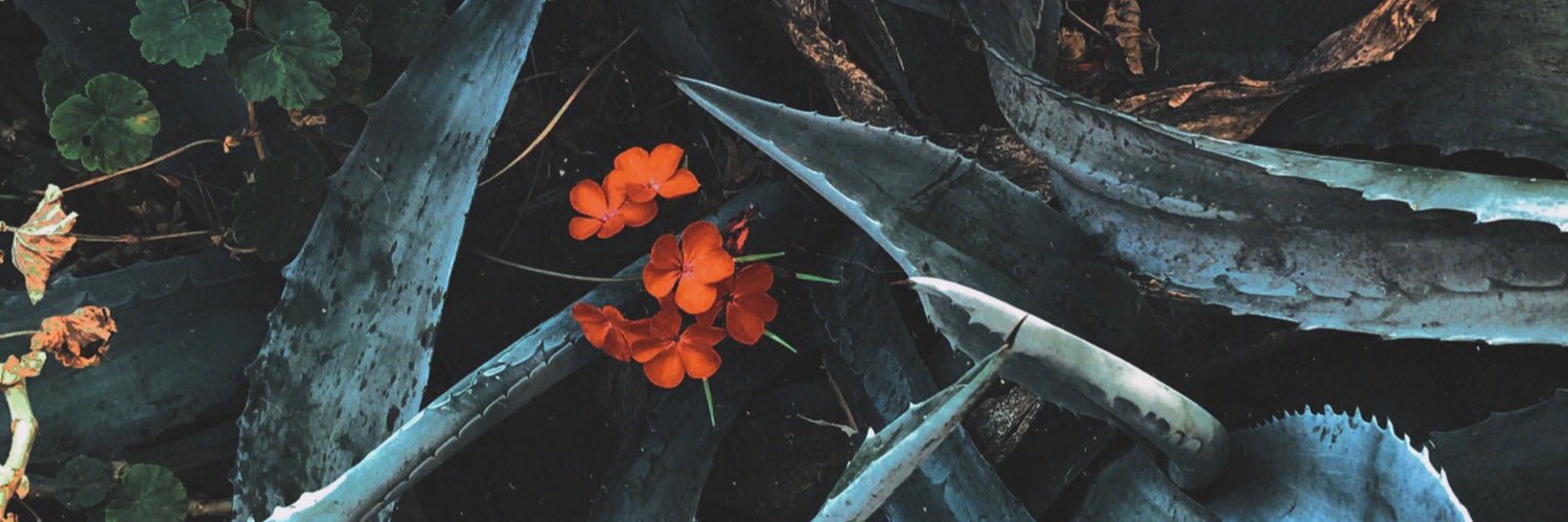 blight 🍃 banner