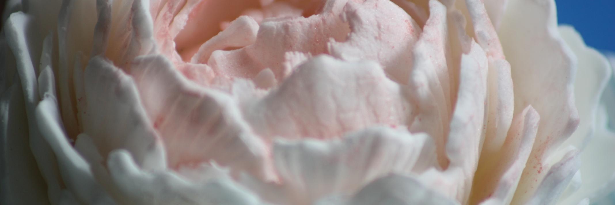 SecretCakebaker banner