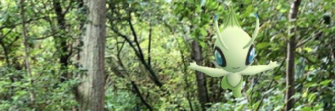 lizziemcs's profile banner image