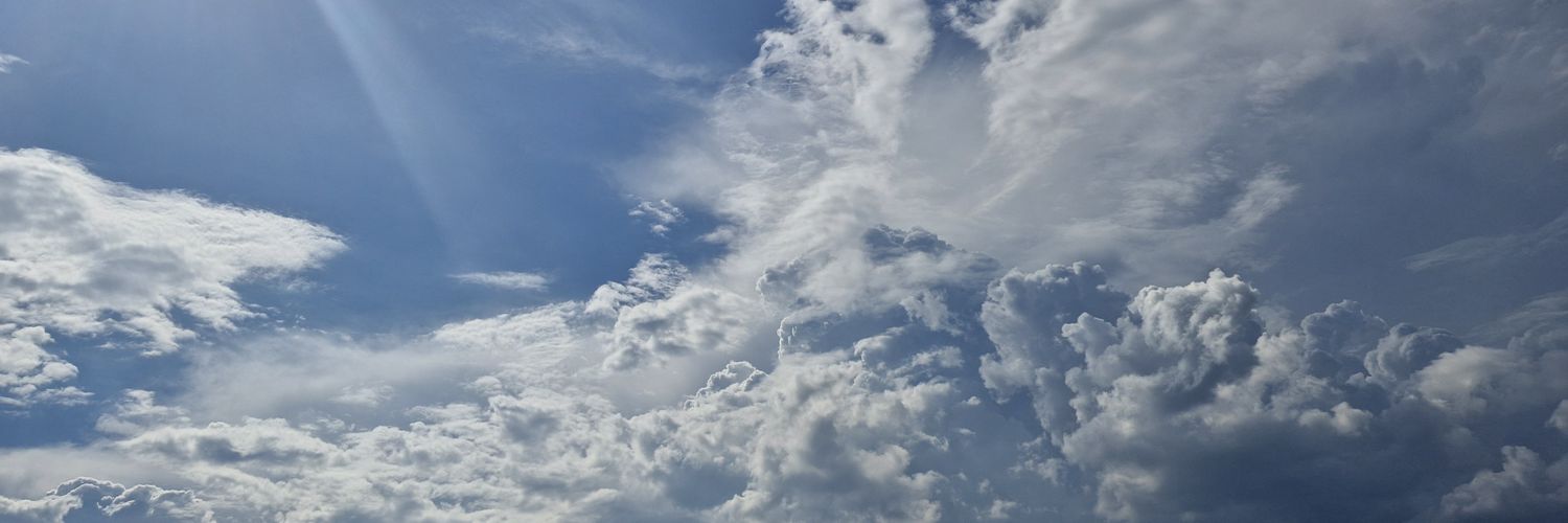 AbejandroFlower's profile banner image