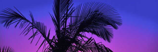 seletosele's profile banner image
