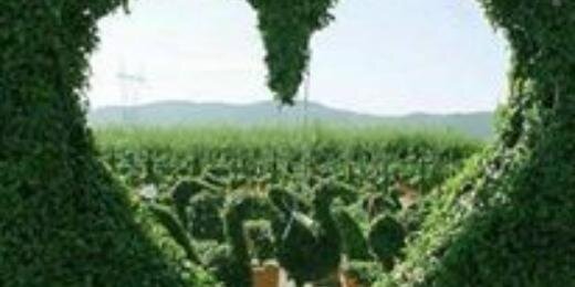 ai_nengzigit's profile banner image