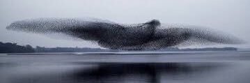suattkr's profile banner image