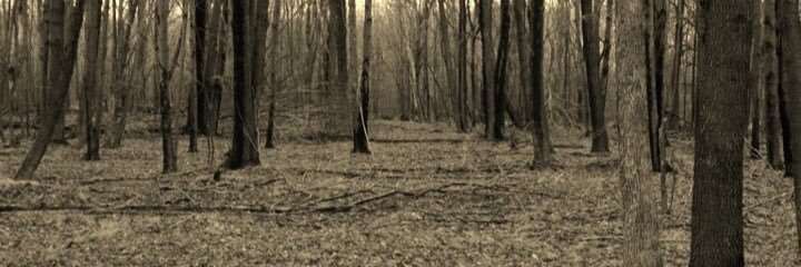 timrekdgorf's profile banner image