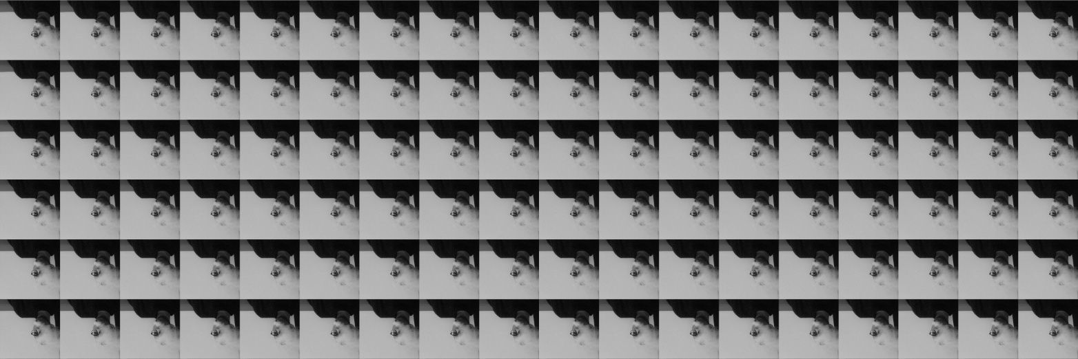 satoshi_9th's profile banner image