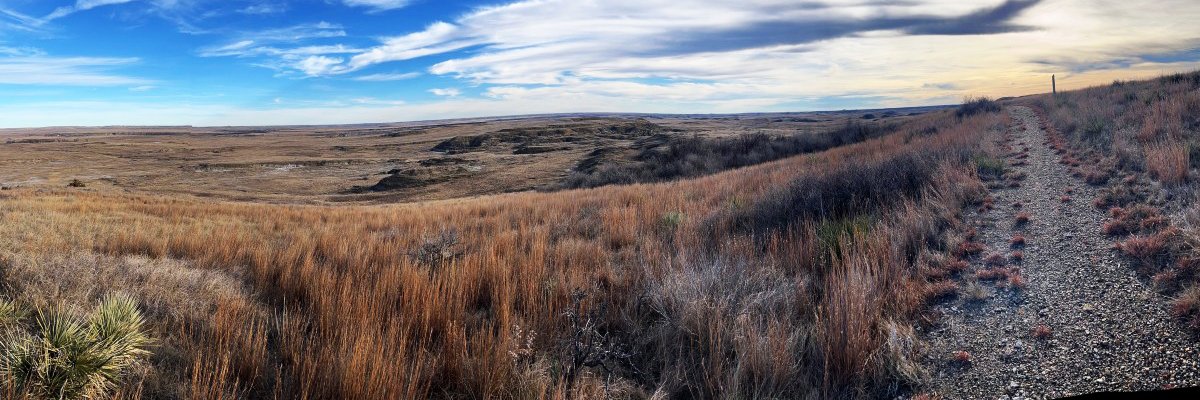 USDA_FS_DPG's profile banner image