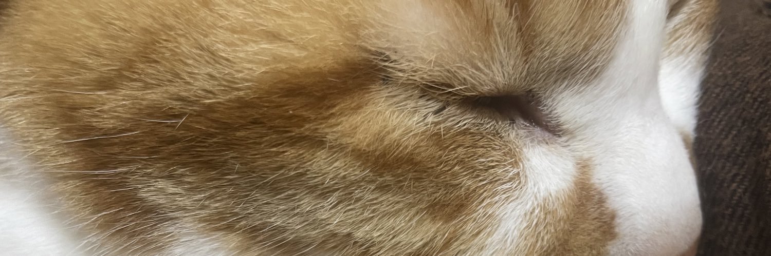 MonakaChitose's profile banner image