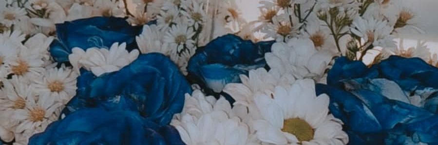 laailanisa's profile banner image