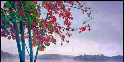 adpatkar's profile banner image