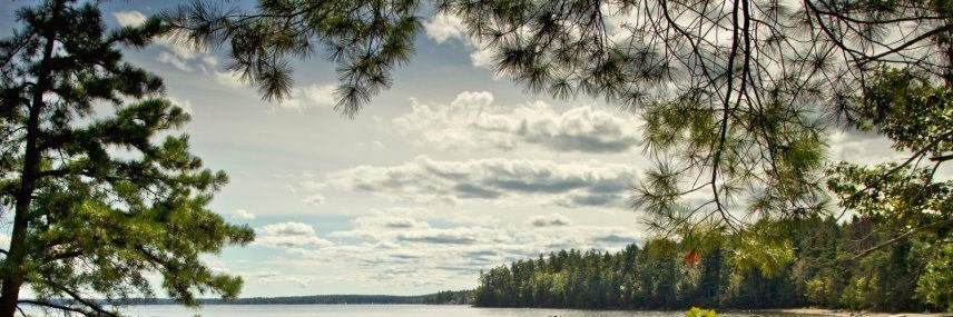 Steven Barrie-Anthony, PhD, PsyD, FIPA banner