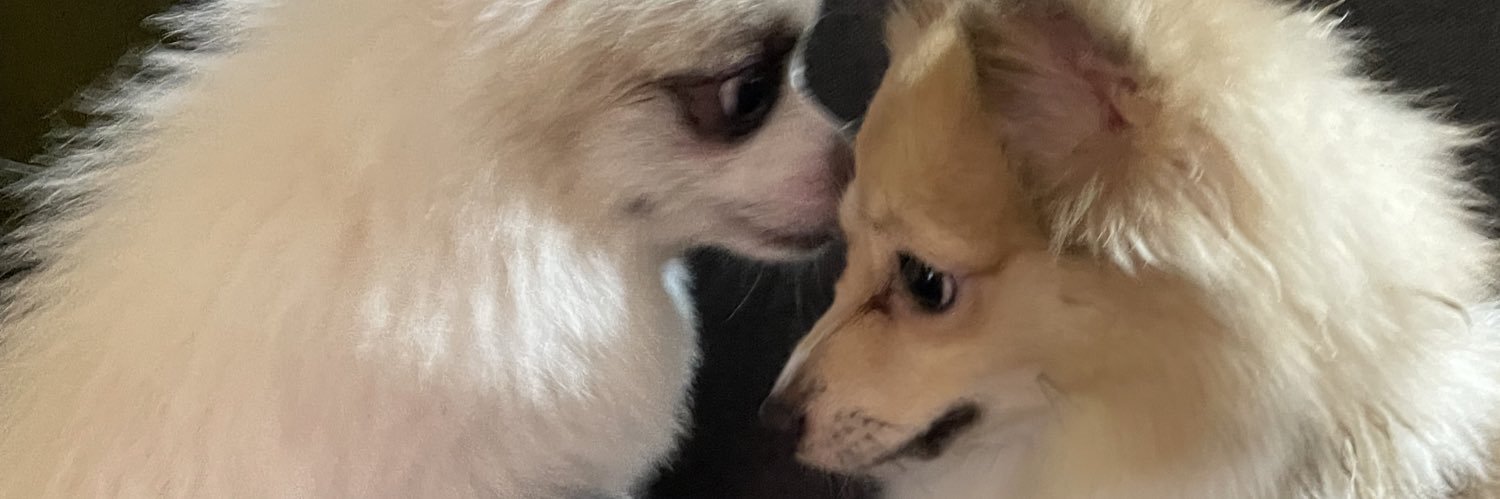 chunkypaps's profile banner image
