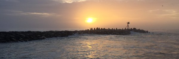 surfbag Profile Banner