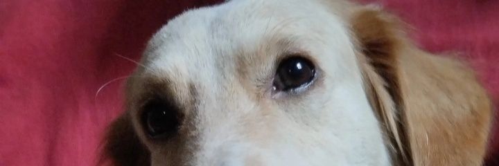 nicole_mora12's profile banner image