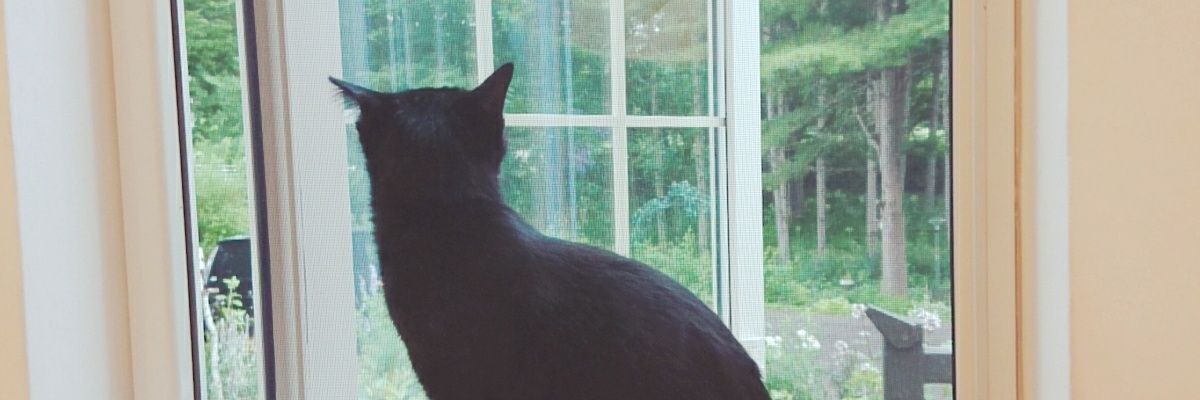 hosimr's profile banner image