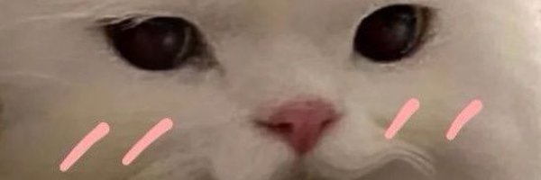 Iljamff Profile Banner