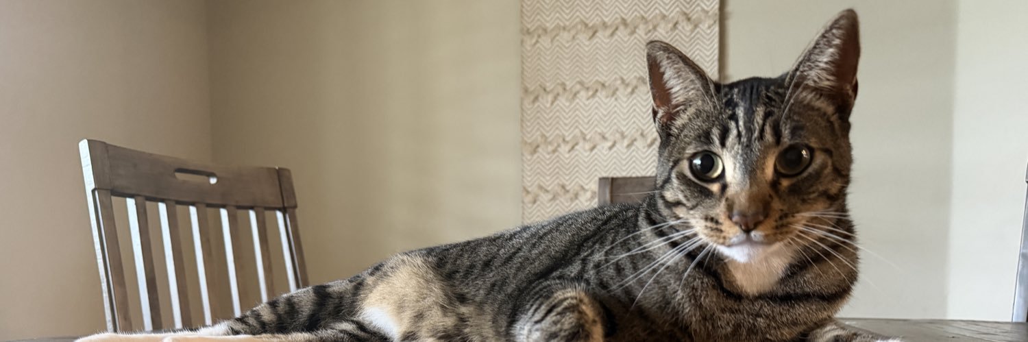 EricaNeuschafer's profile banner image