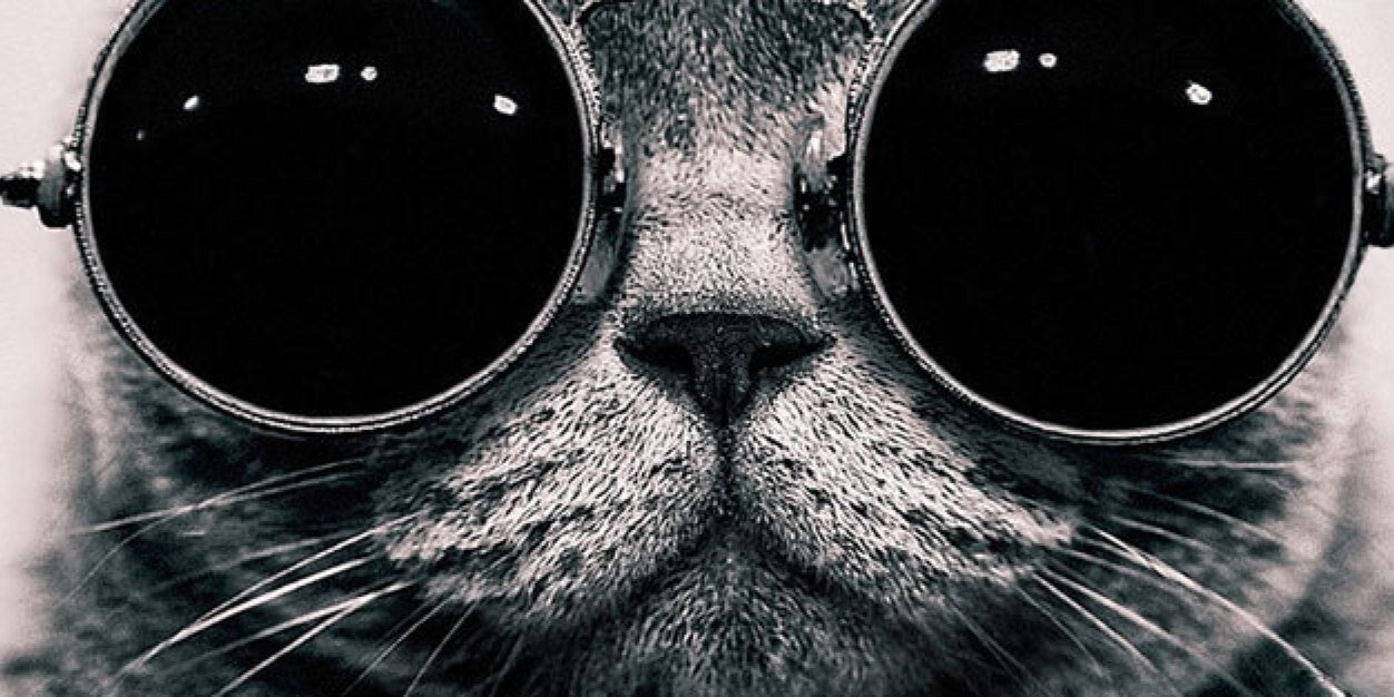 Voxohh's profile banner image