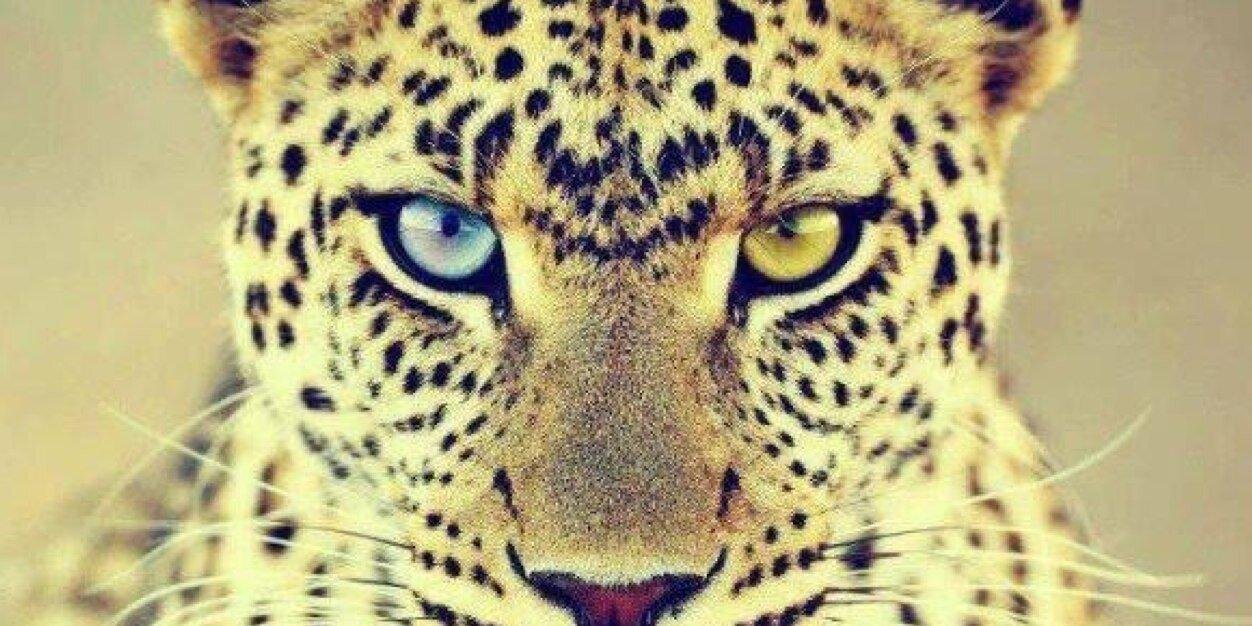 ✨ Tu me suis ? banner
