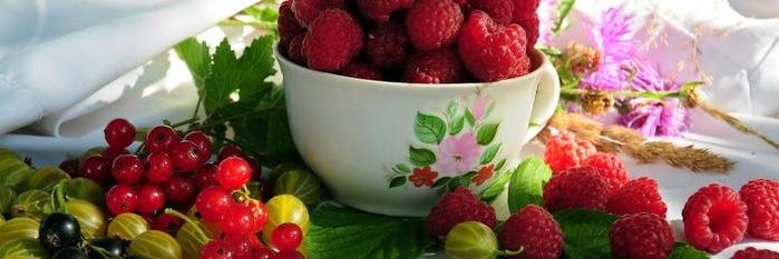 МериНика banner