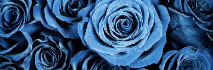 slimmdrea's profile banner image