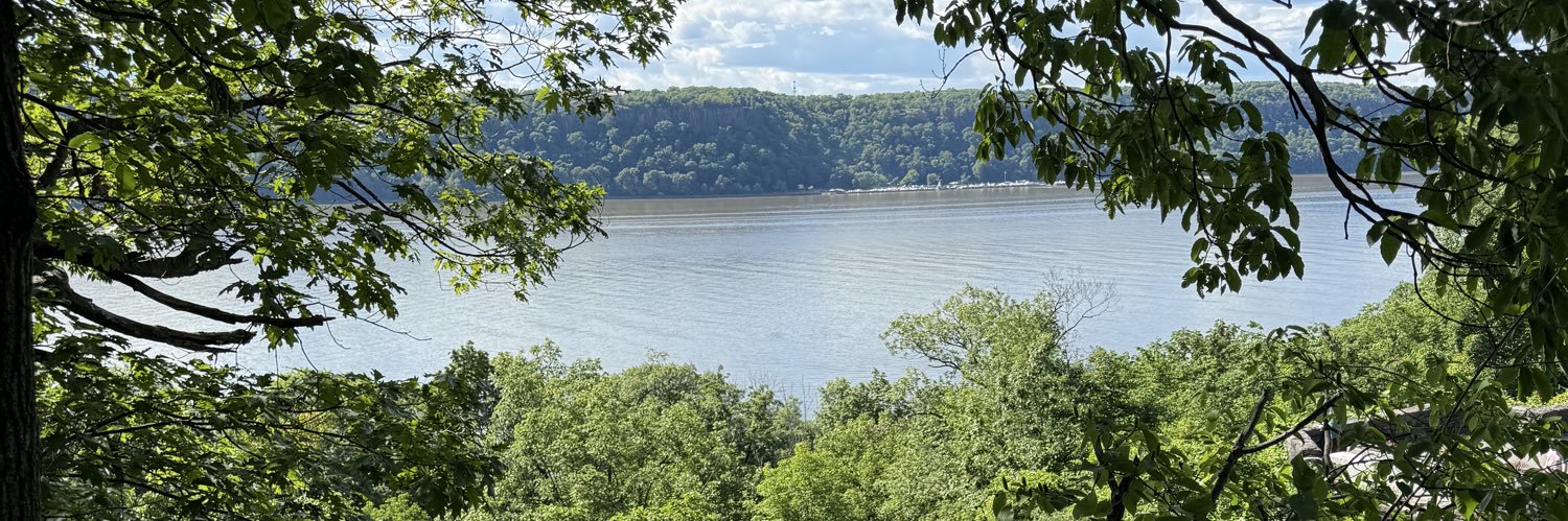 Jed Abrahams 🐝 banner