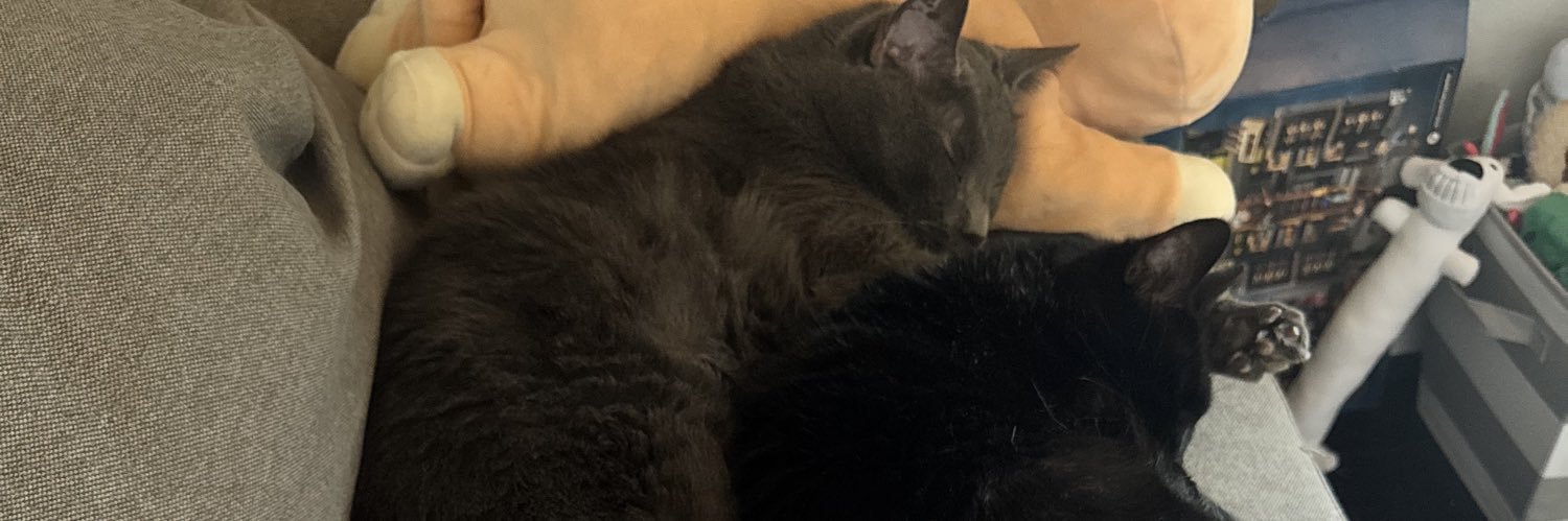 kittykatjos's profile banner image