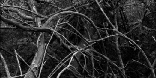 mpazcornejo's profile banner image